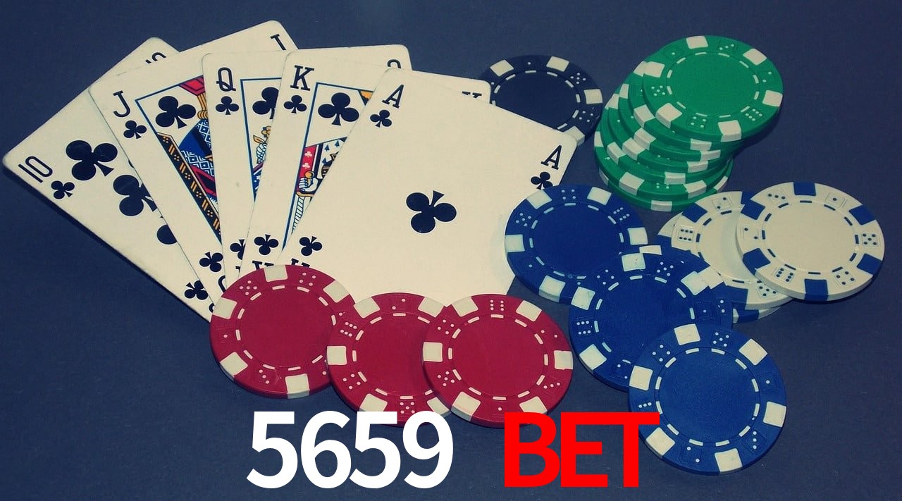 Experiência VIP 5659 bet